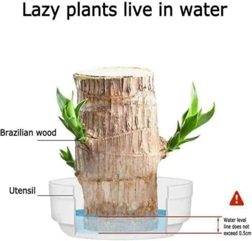 Brazillian Lucky Wood Only Wood