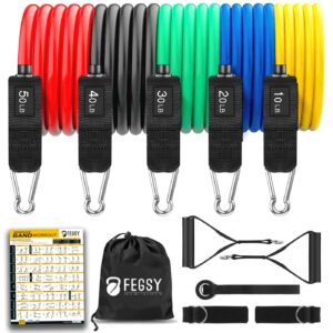 Resistance Bands Set