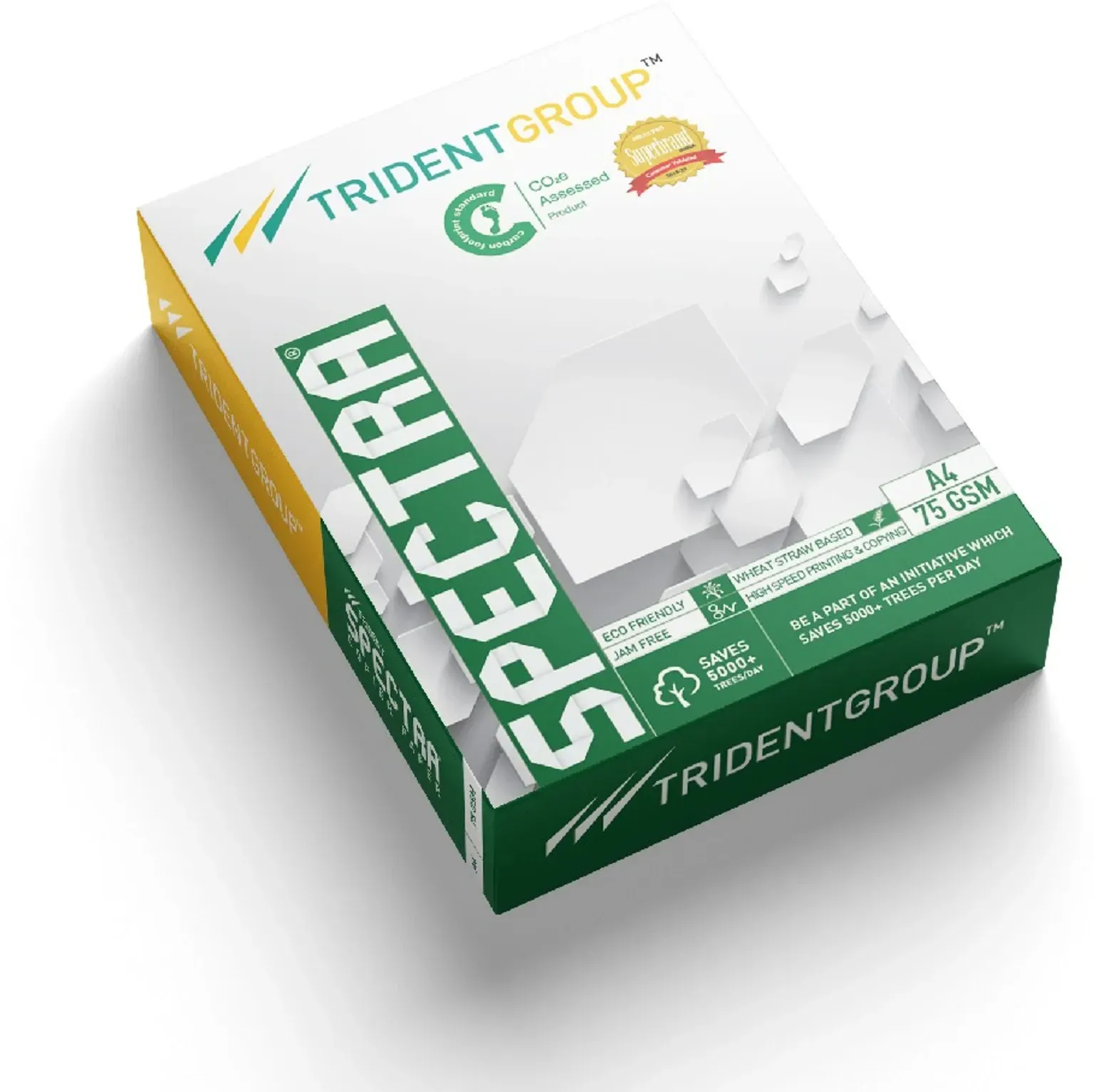 A4 75 gsm Printer Paper (Set of 1, White)
